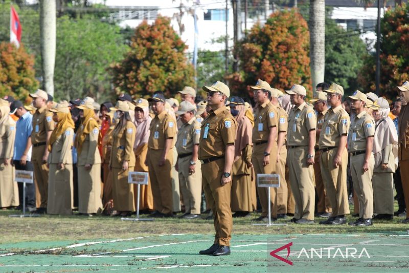Pendaftaran CPNS Resmi Dibuka Mulai Hari Ini, Terdapat Total 250.407 Formasi