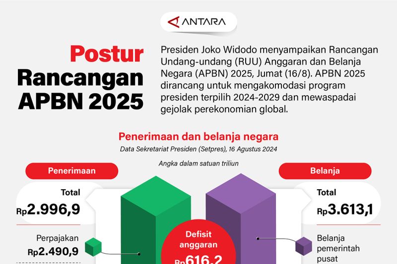 APBN 2025 Terkena Guillotine