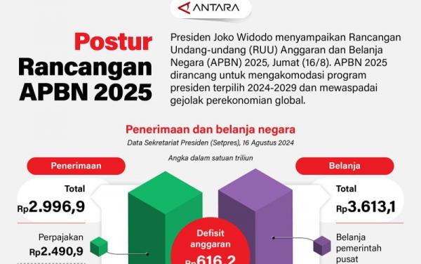 APBN 2025 Terkena Guillotine