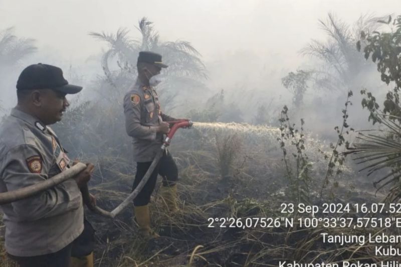 Kebakaran Lahan di Rokan Hilir, 25 Hektar Hangus Terbakar