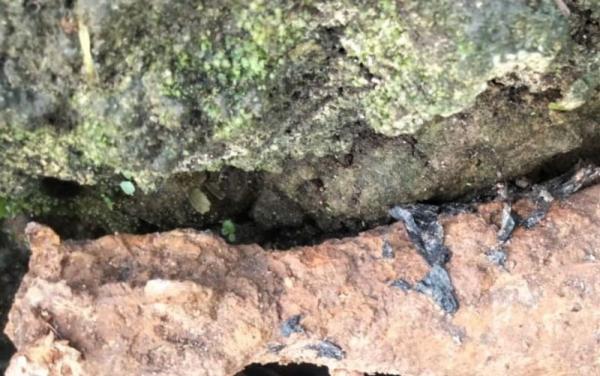 Brimob Polda Maluku Amankan Bahan Peledak Mortir 60 Komando Temuan Warga