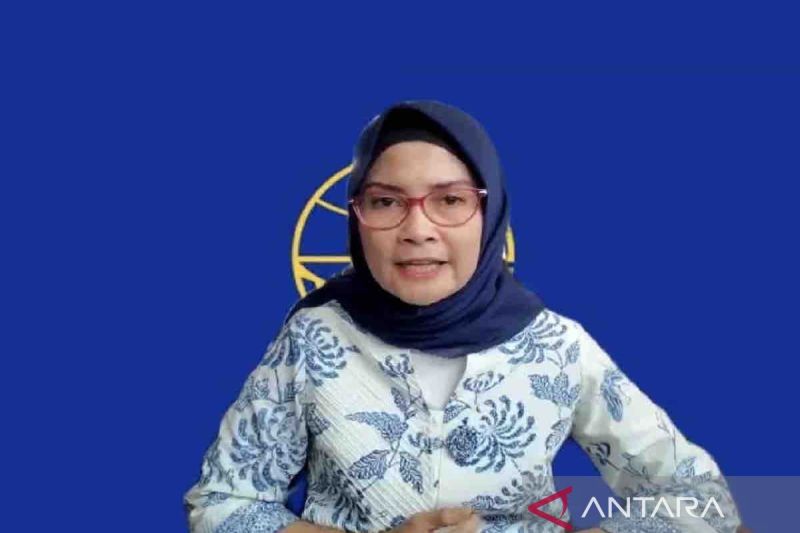 Jubir Kemenhub Nyatakan Jumlah Pesawat Mulai Pulih Usai Sempat Turun