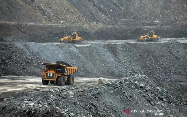 Asal Batubara Tak Dijual 40 Dolar Seton ke India atau Tiongkok: Indonesia Pasti Kaya