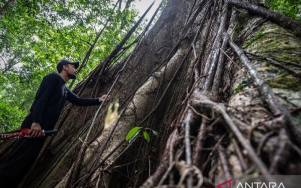 Dispar Kalsel Gaet Puluhan Pemuda Bentuk Meratus Geopark Youth Forum