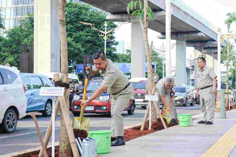 Ratusan Pohon Tabebuya Mulai Ditanam Pemprov DKI Jakarta di Kawasan Kuningan