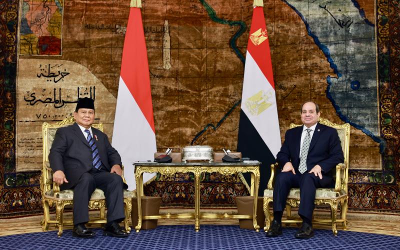 Prabowo dan El-Sisi Kompak Suarakan Gencatan Senjata di Palestina