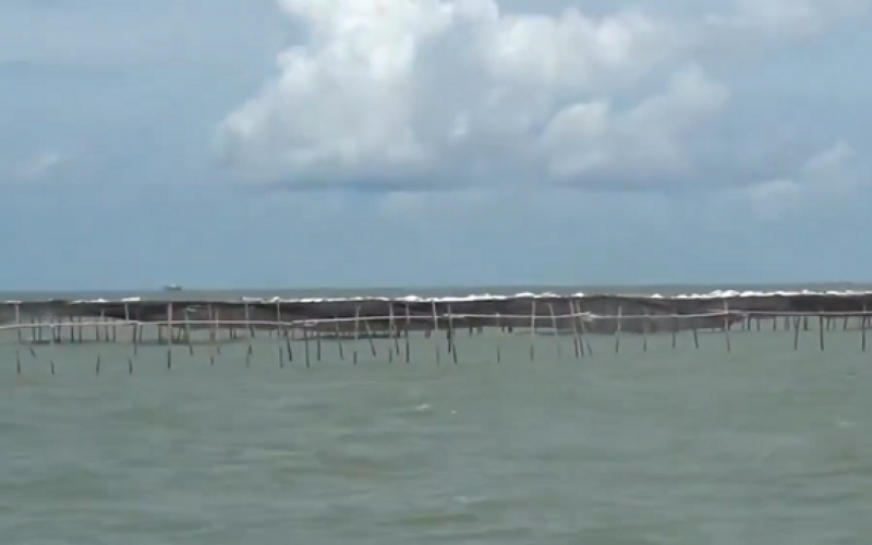 Pagar Laut Ilegal Sepanjang 30,16 Km di Tangerang Rugikan Nelayan, Negara Jangan Diam