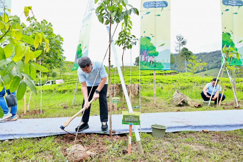 Pertamina Hijaukan Hulu Sungai Ciliwung