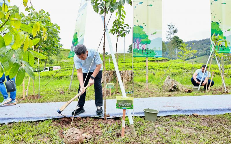 Pertamina Hijaukan Hulu Sungai Ciliwung
