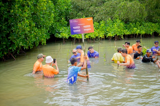 Melalui Ascott Care, HARRIS Hotels Jakarta-Bekasi Gelar Penanaman Mangrove di Muara Gembong