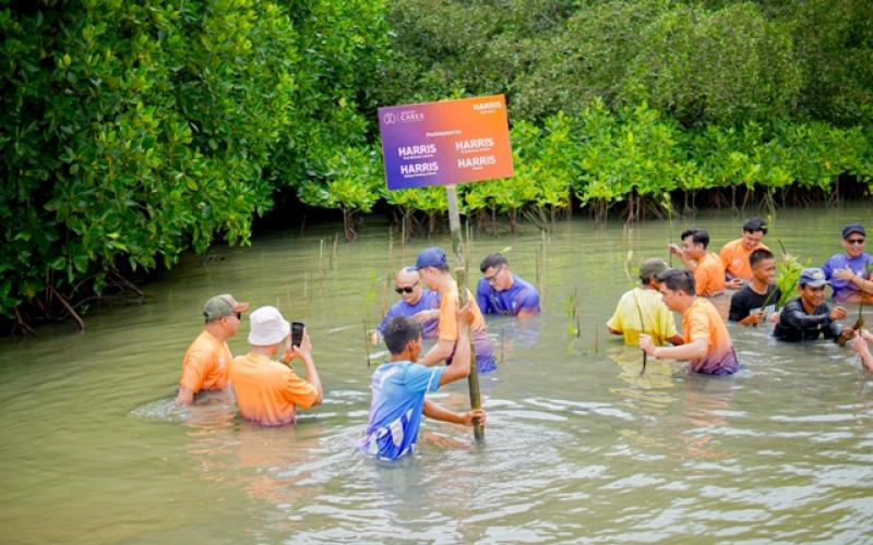 Melalui Ascott Care, HARRIS Hotels Jakarta-Bekasi Gelar Penanaman Mangrove di Muara Gembong