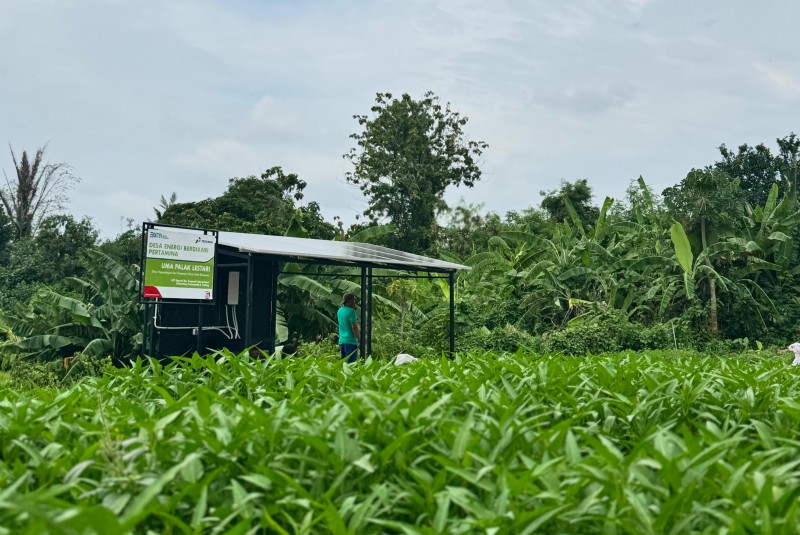 159 Desa Energi Berdikari Pertamina Hasilkan Energi Bersih 733.559 Wp
