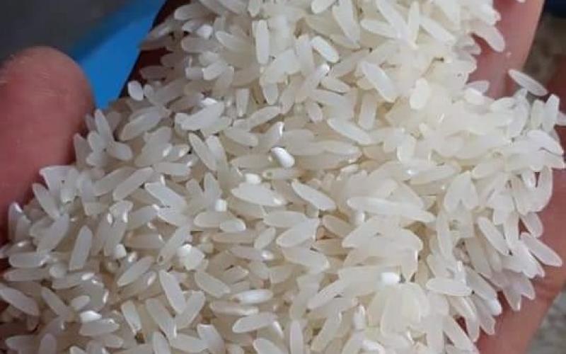 Was-was Beras Oplosan, Satgas Pangan Bisa Apa?