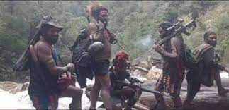 Serang Guru dan Nakes, Tindak Tegas Teroris Papua
