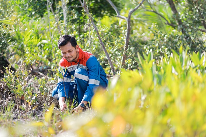 Hari Hutan Sedunia: Pertamina Perkuat Program Hutan Lestari untuk NZE 2060