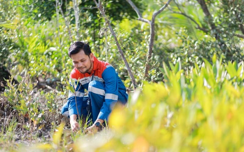Hari Hutan Sedunia: Pertamina Perkuat Program Hutan Lestari untuk NZE 2060