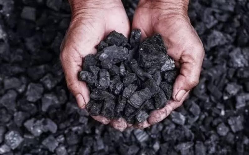 Hilirisasi Nikel Makin Nyata, Vale Pacu Pertumbuhan Industri