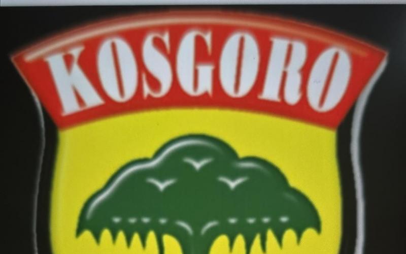 Jelang Mubes ke-XII, Ridwan Hisjam Dorong KOSGORO Kembali ke Akar Koperasi