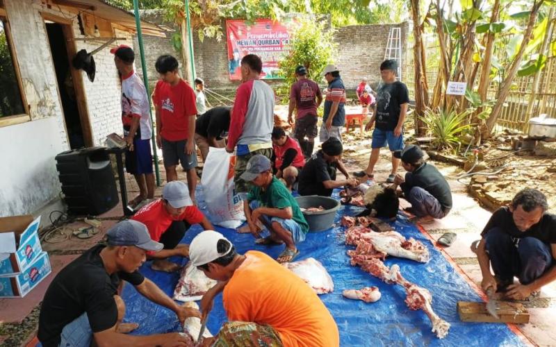 Utut Adianto Sumbang Dua Sapi Kurban untuk Warga Kebumen