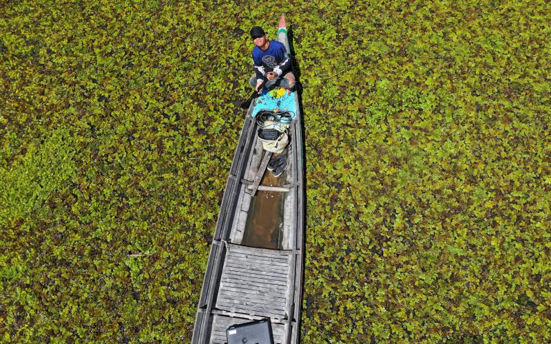 Indonesia Teken Kesepakatan Karbon Global, CarbonEthics Dorong Proyek Berkualitas Tinggi