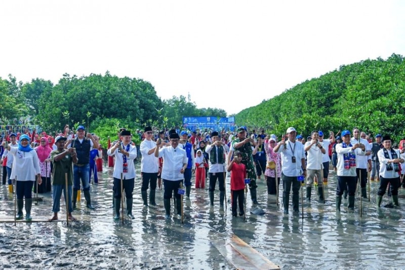 Komitmen Hijau untuk Jakarta Lebih Sejuk, Transjakarta dan Warga Tanam 15.000 Mangrove di Pulau Kelapa