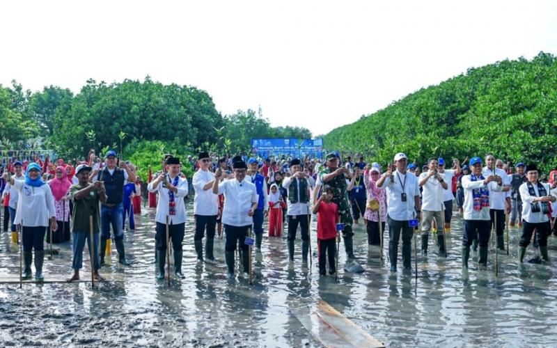 Komitmen Hijau untuk Jakarta Lebih Sejuk, Transjakarta dan Warga Tanam 15.000 Mangrove di Pulau Kelapa
