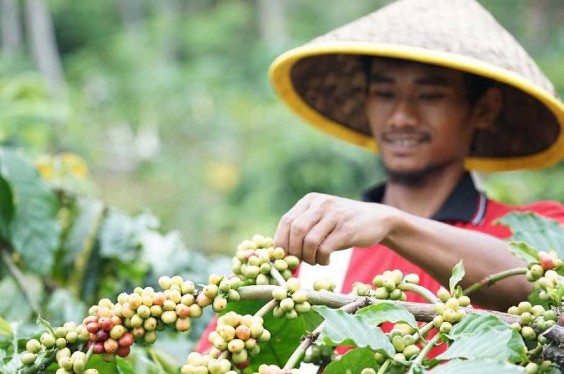 Nestlé Indonesia, Menuju Masa Depan Pangan Berkelanjutan Lewat Ekonomi Sirkular dan Pertanian Regeneratif