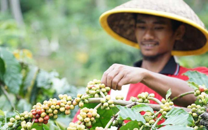 Nestlé Indonesia, Menuju Masa Depan Pangan Berkelanjutan Lewat Ekonomi Sirkular dan Pertanian Regeneratif