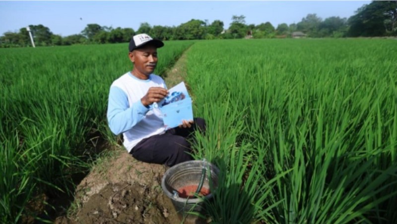 Rakyat dari Berbagai Profesi Diundang ke Istana Merdeka pada HUT RI ke-80