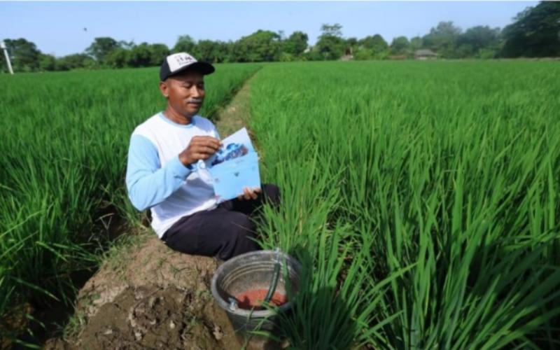 Rakyat dari Berbagai Profesi Diundang ke Istana Merdeka pada HUT RI ke-80