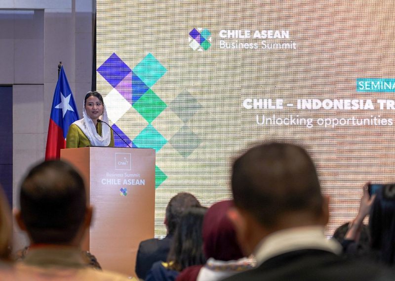 Indonesia-Cile Perkuat Kerja Sama, Wamendag Roro: Momentum untuk Tumbuh Bersama