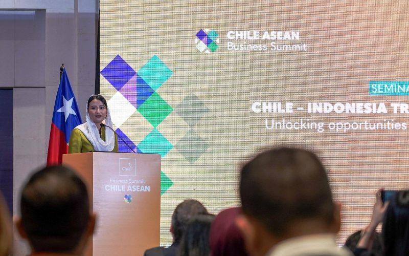 Indonesia-Cile Perkuat Kerja Sama, Wamendag Roro: Momentum untuk Tumbuh Bersama