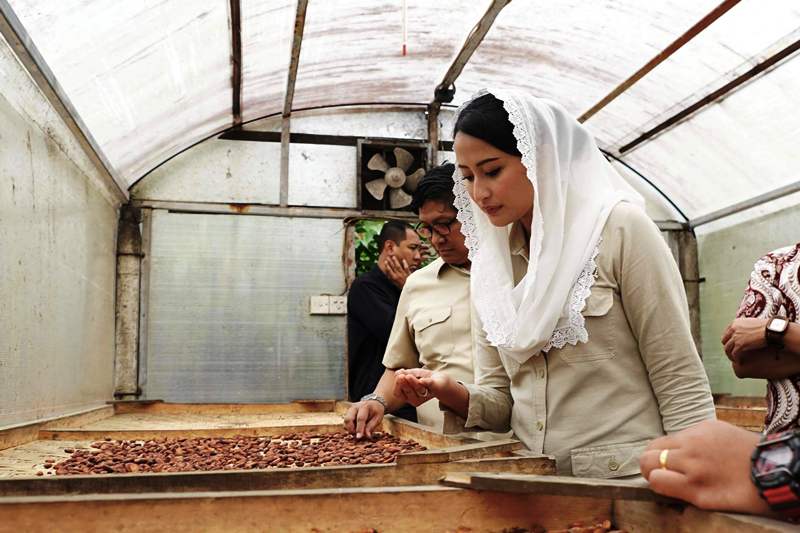 Wamendag Kunjungi UMKM Cau Chocolate di Tabanan, Bali