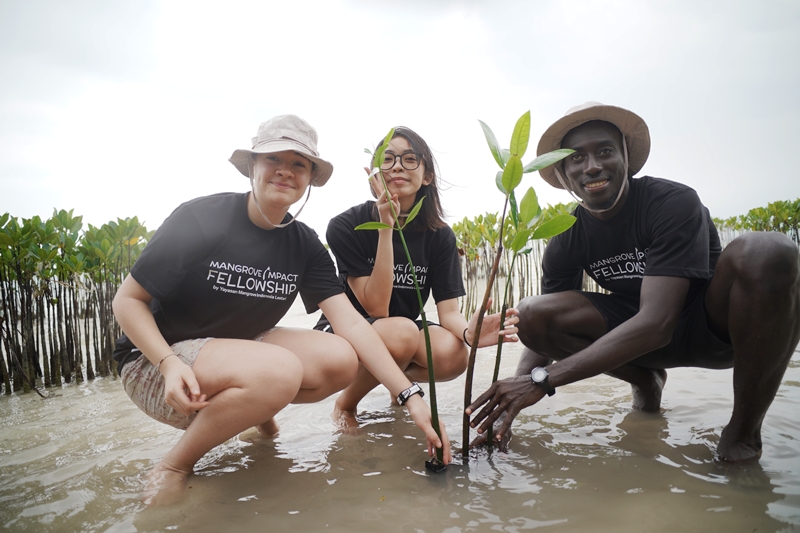 Mangrove Impact Fellowship 2026: Kolaborasi Global Lahirkan Generasi Pemimpin Konservasi Mangrove