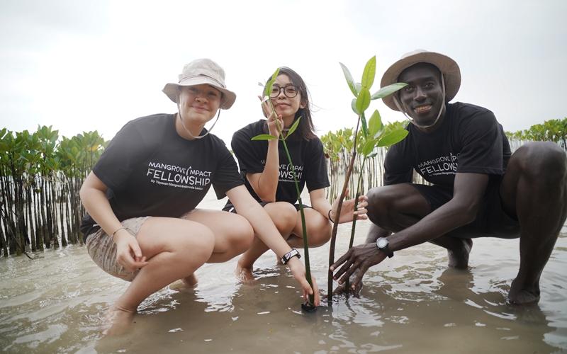 Mangrove Impact Fellowship 2026: Kolaborasi Global Lahirkan Generasi Pemimpin Konservasi Mangrove