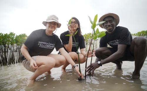 Mangrove Impact Fellowship 2026: Kolaborasi Global Lahirkan Generasi Pemimpin Konservasi Mangrove