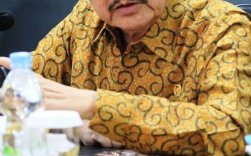 Pemerintah Perlu Memperjelas Istilah Daerah Gagal