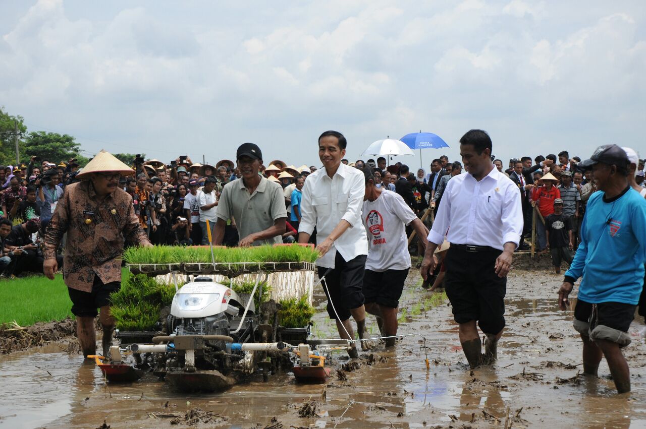 Pemerintahan Jokowi Sukses Jaga Stabilitas Harga Pangan