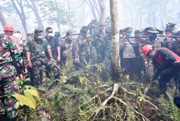 FOTO Panglima TNI Pantau Kebakaran Hutan di Riau