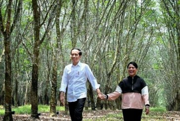Pose Romantis Jokowi-Iriana di Tengah Hutan Karet