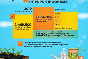 Kuartal I 2019 Produksi Pupuk Indonesia Lampaui Target