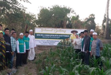Desa Madani Parmusi di Takalar Berdayakan Umat dengan Bertanam Jagung