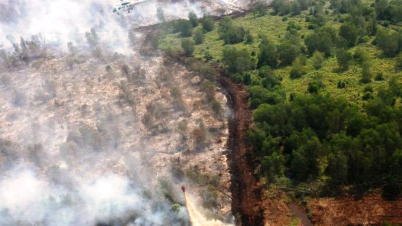 Kalimantan Kebakaran Hutan Parah, Warga Sesak Napas
