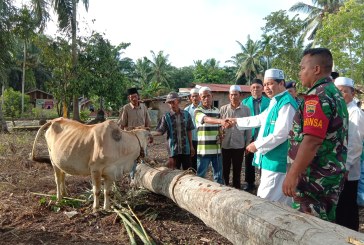 Resmikan Desa Madani, PP Parmusi Berikan 10 Ekor Sapi di Langkat