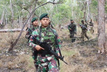 Prajurit TNI dan PNG Patroli Patok Bersama 