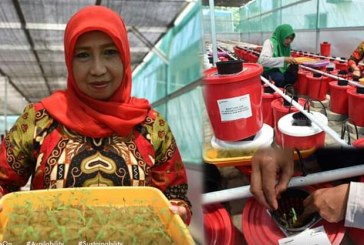 Pertamina Tingkatkan Kesejahteraan Kaum Ibu di Makassar Melalui Hidroponik dan Bank Sampah