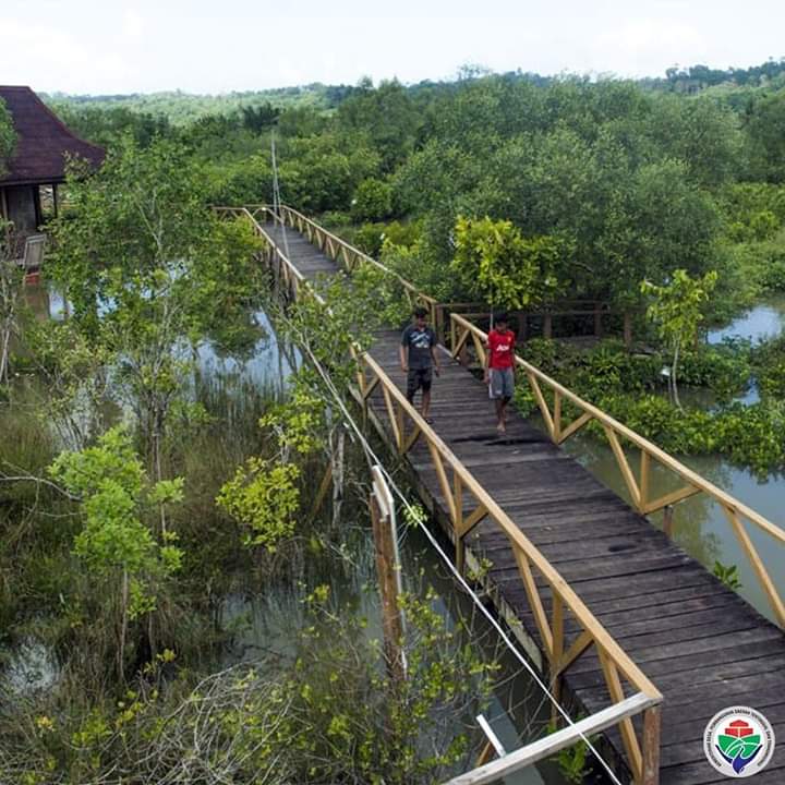 Menikmati Pemandangan Hutan Mangrove di Ujung Alang