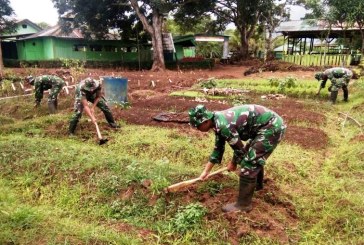 Prajurit TNI di Perbatasan Manfaatkan Lahan Kosong Jadi Kebun Sayur