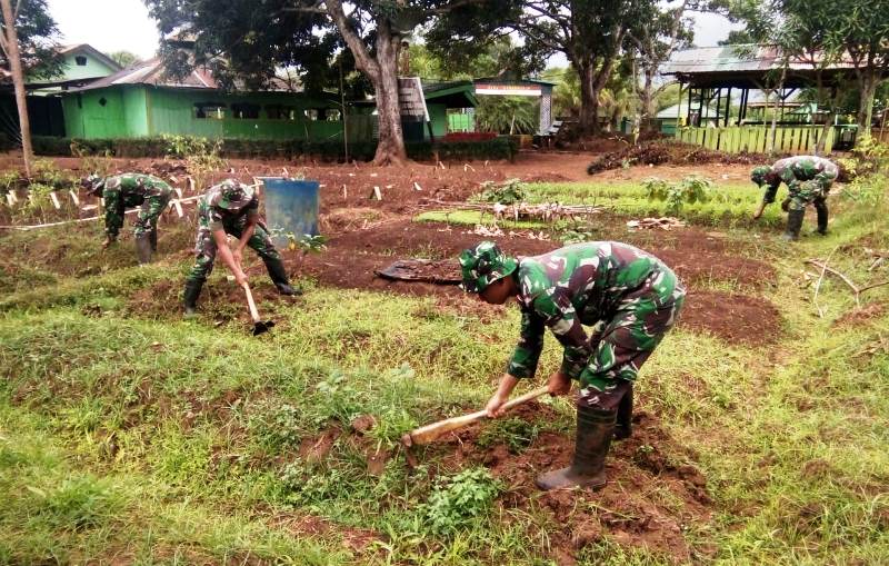 Prajurit TNI di Perbatasan Manfaatkan Lahan Kosong Jadi Kebun Sayur