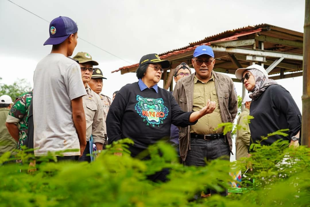 Hijaukan Daerah Terdampak Banjir di Bogor dan Banten, KLHK Siapkan 225 Kebun Bibit Desa